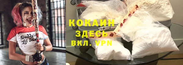 дживик Алексеевка