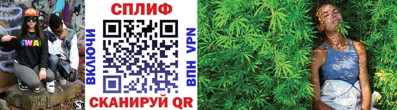 Бошки марихуана SATIVA & INDICA  МЕГА tor  Любань  где купить наркоту 